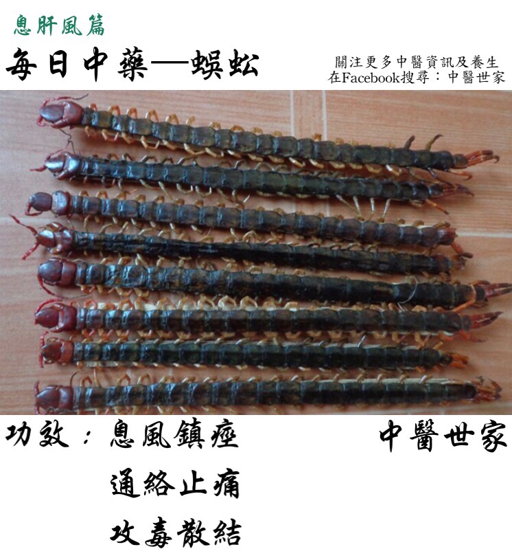 蜈蚣的功效与作用真的好吗?专家为你详细解读它的价值!