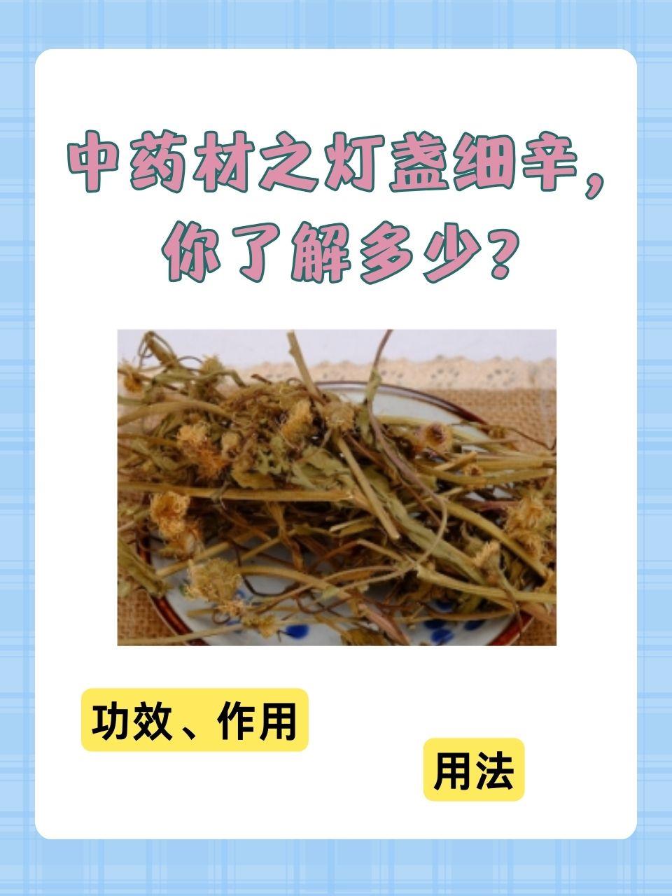 细辛的功效与作用是什么?医生讲解它的好处与使用禁忌。