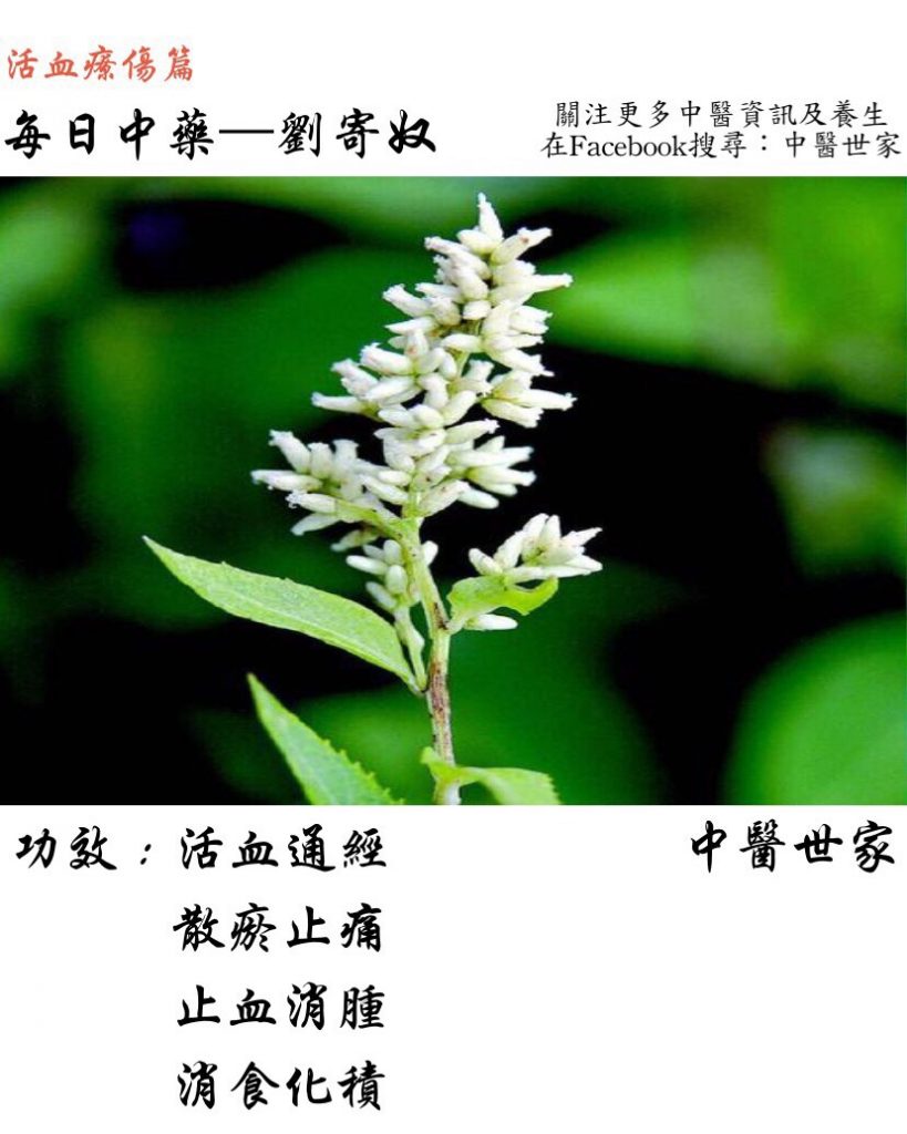 刘寄奴的功效与作用有哪些？这几点你必须了解！