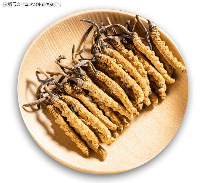 冬虫夏草的功效有哪些?吃多久才能见效呢?