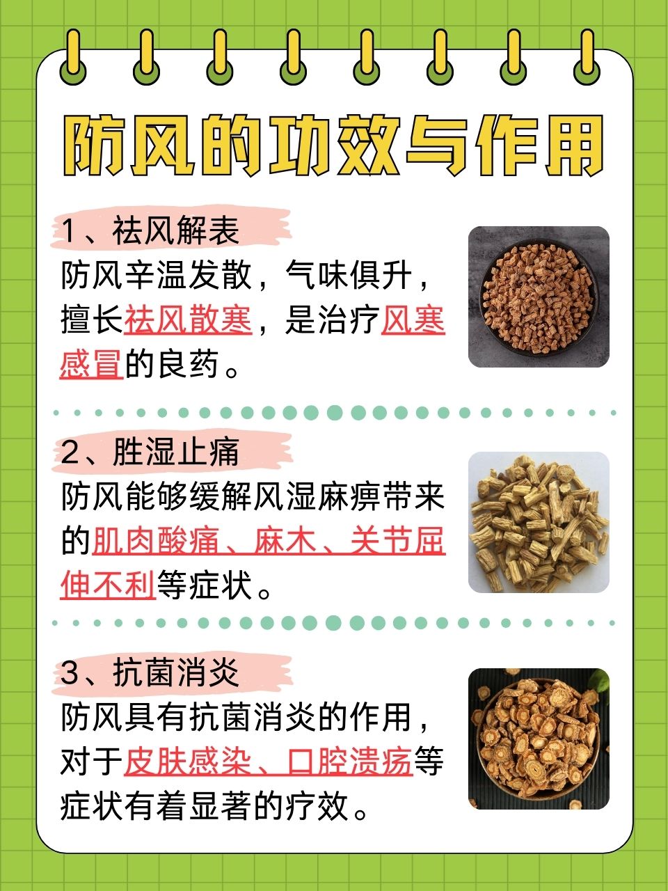 中药防风功效与作用大揭秘,原来能治这么多病。