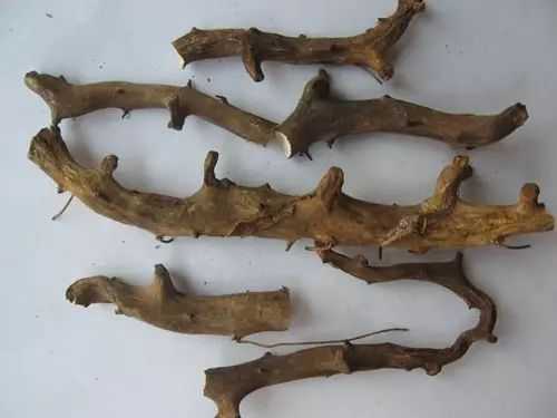 穿山龙的功效与作用有哪些?了解这几点对身体很有好处!
