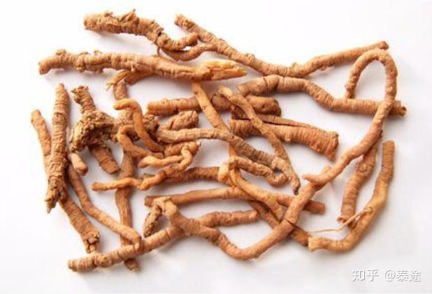 远志有什么神奇功效？了解它的作用与禁忌人群