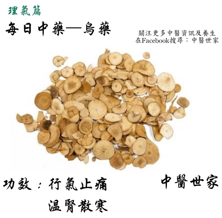 乌药的功效与作用大揭秘,这篇文章讲的真全