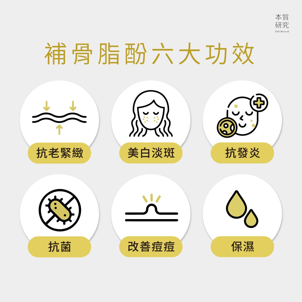 补骨脂的作用与功效你知道吗?几大好处一次说清楚!