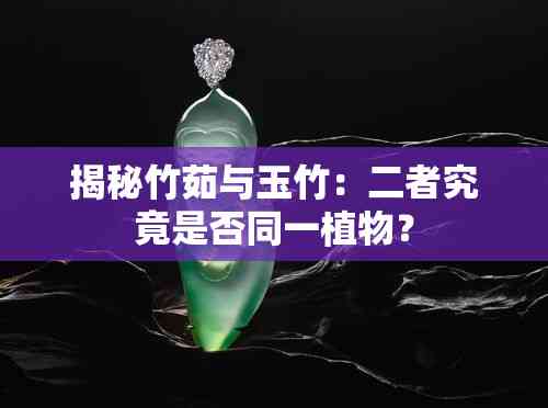 揭秘竹茹的功效与作用，哪些人用了效果特别好？