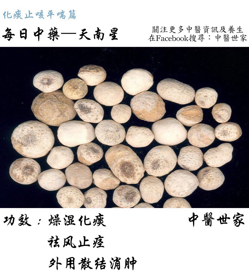 天南星的功效与作用有哪些?老中医告诉你怎么用才对!