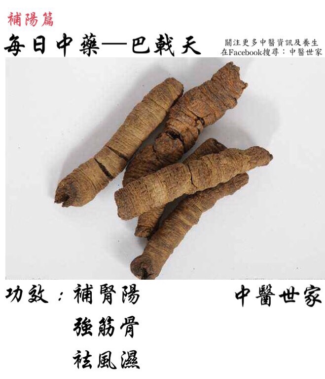 巴戟天的作用与功效怎么样?经常腰酸腿软的快看!