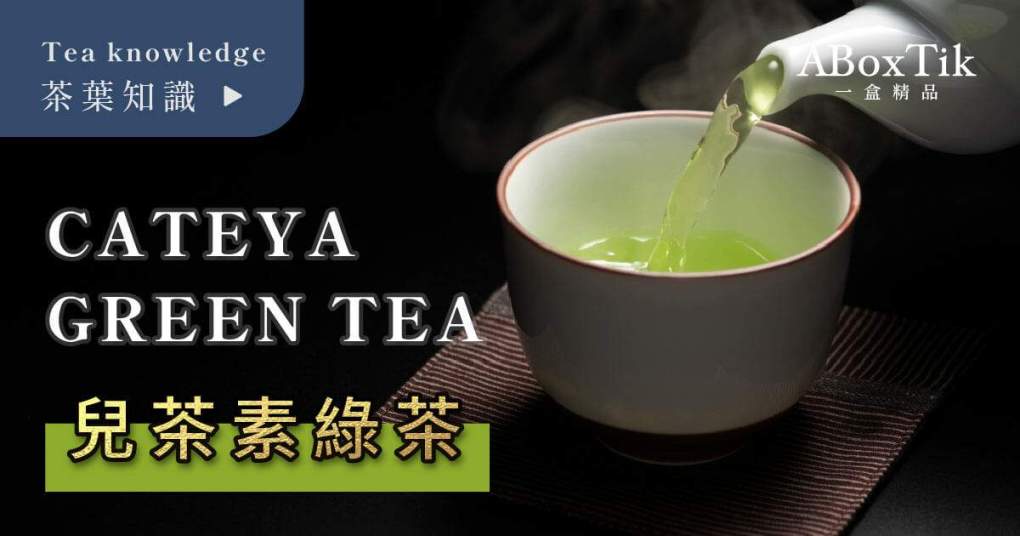 儿茶的功效与作用大揭秘,快来看看它的神奇之处吧!