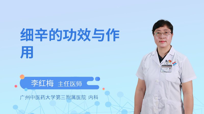 细辛的功效与作用是什么?医生讲解它的好处与使用禁忌。
