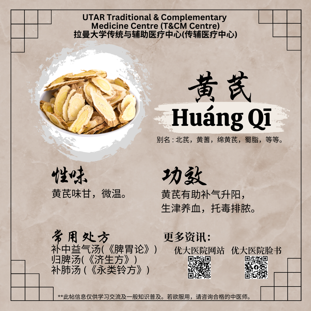 生黄芪的功效与作用虽多,但这些人千万别乱用!