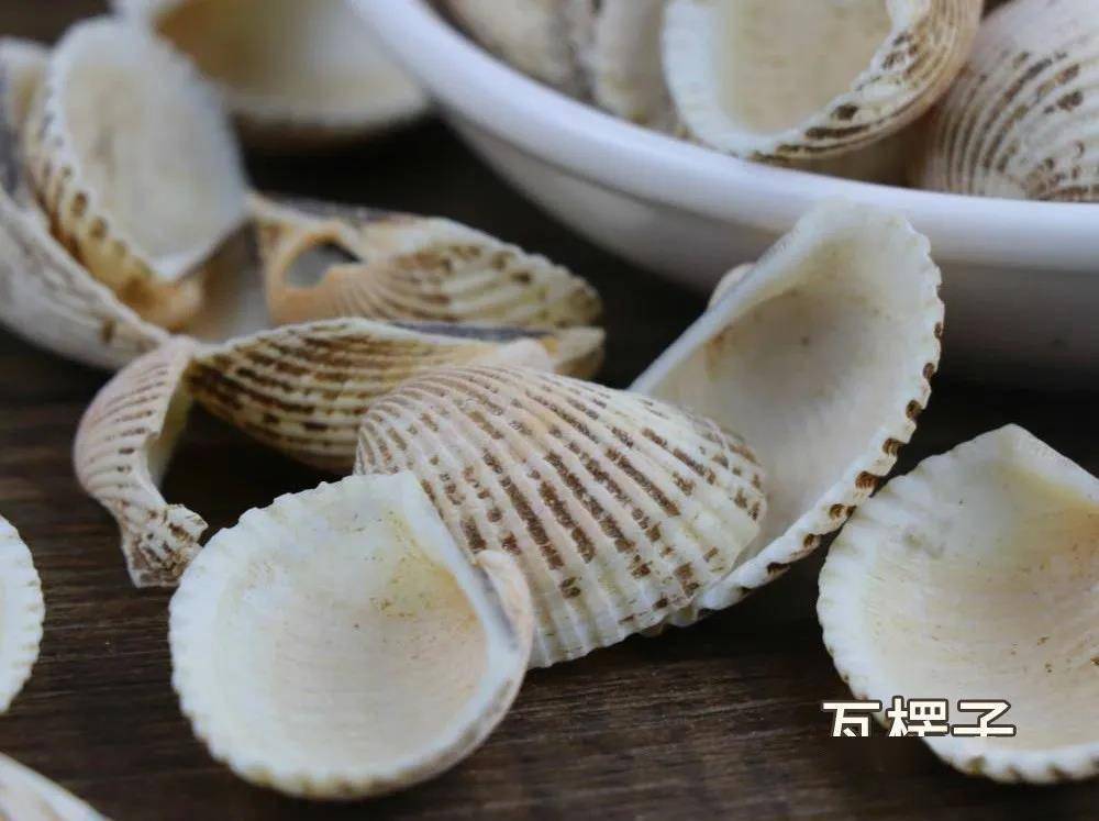 煅瓦楞子的功效与作用有哪些?老中医告诉你怎么用!
