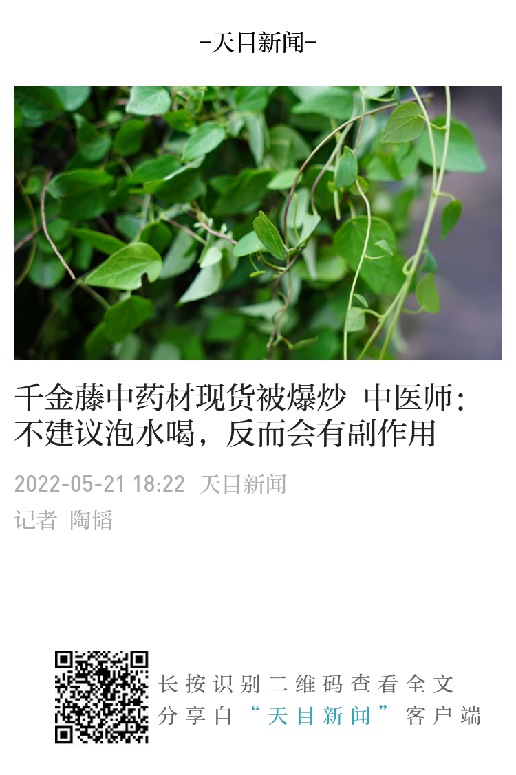 千金藤的功效与作用有哪些?医生说这几点要记牢!