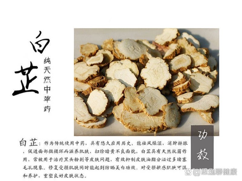 白芷的作用与功效详解,日常祛风止痛就用它!