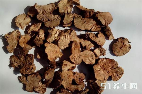 金荞麦的功效与作用很强大,但这几类人千万要注意不能乱用。