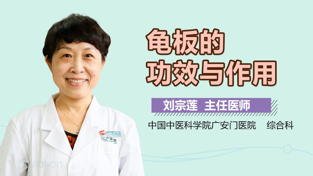 龟板的功效与作用及禁忌人群,使用前必看!