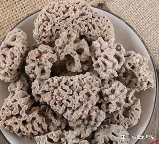 想知道海浮石的功效与作用吗?快来看看海浮石的妙用!