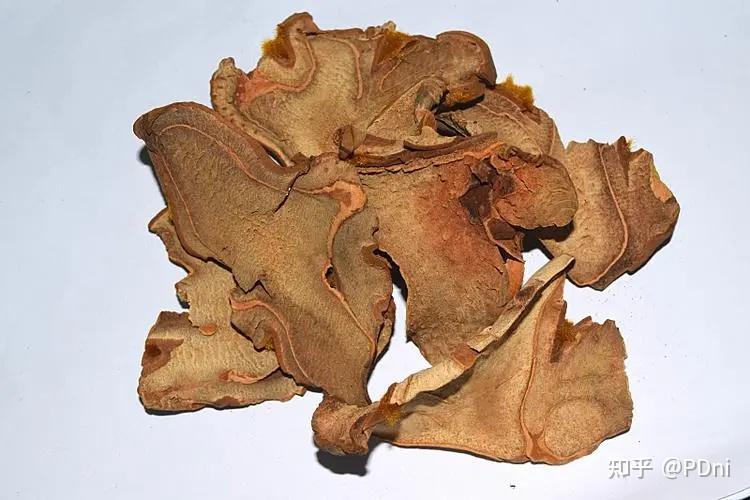 狗脊的功效与作用是什么?常腰痛的人赶紧收藏备用!