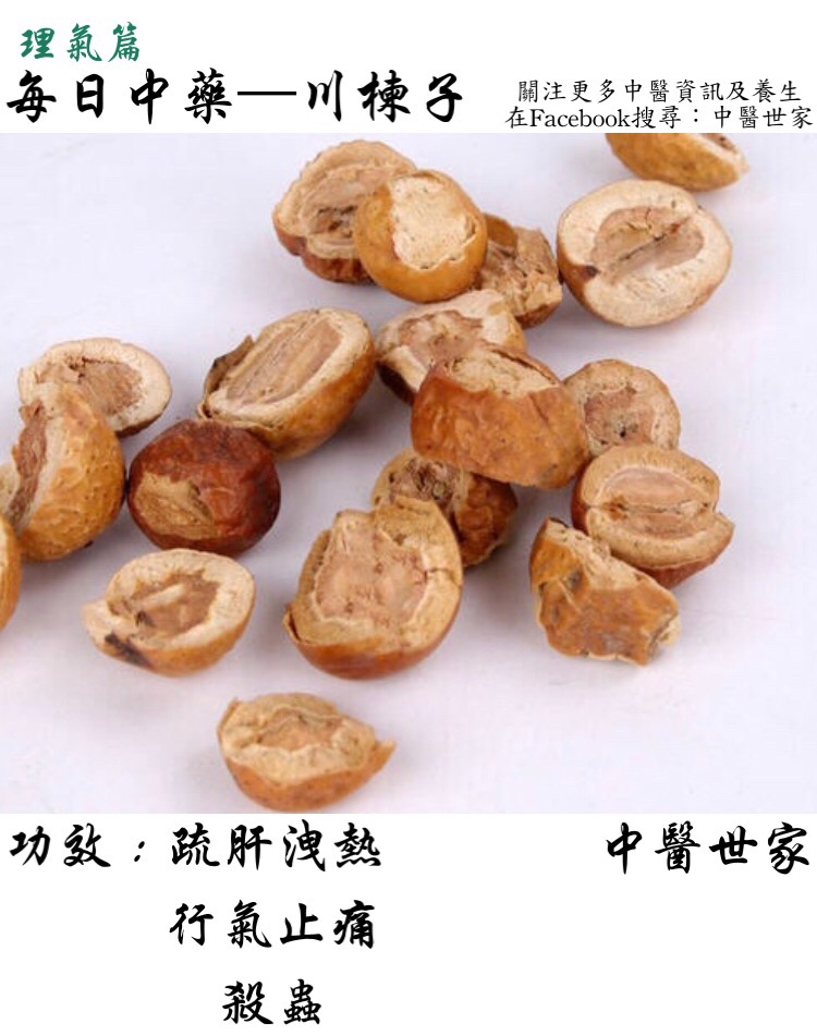 川楝子的功效与作用大揭秘,老中医告诉你真相!