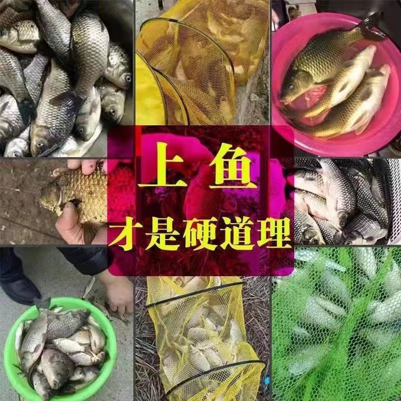 多吃鲫鱼有什么好处?盘点鲫鱼的功效与作用!