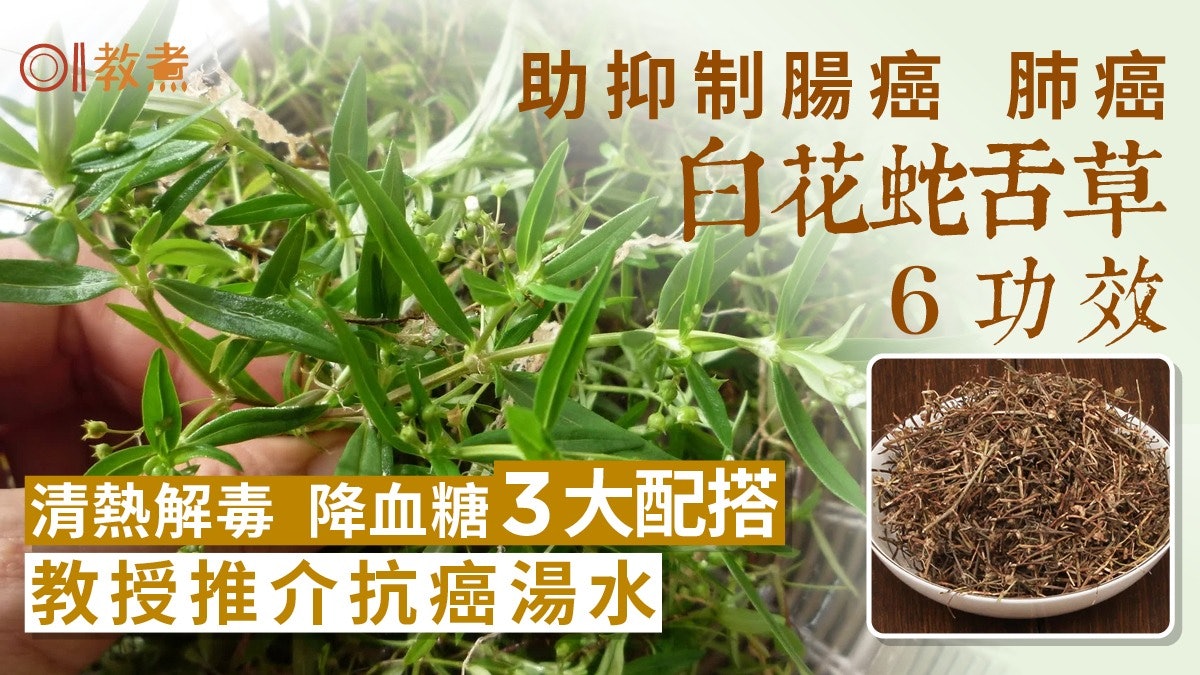 白花蛇舌草的功效与作用?医师详解正确用法!