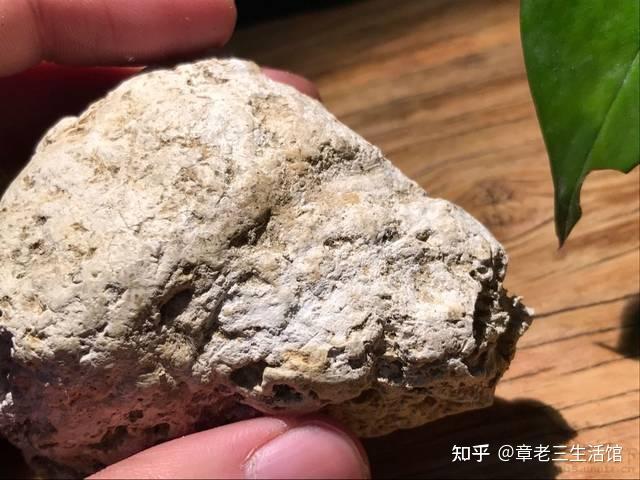 想知道龙涎香的功效与作用?这几个方面要了解清楚!
