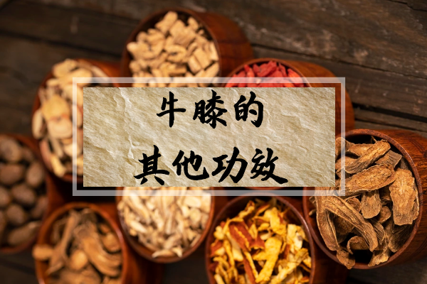 牛膝的功效与作用及食用方法，简单易懂一看就会