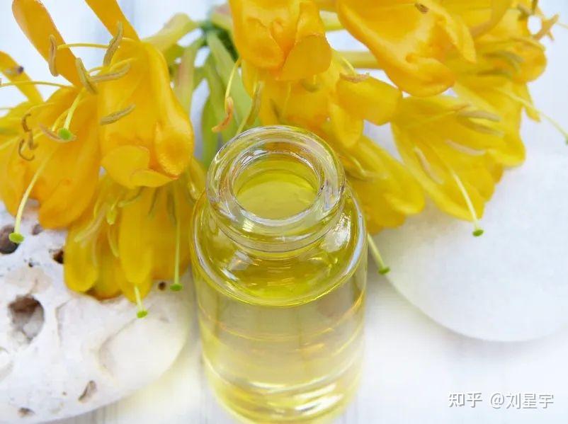 金银花的功效怎么用最好?泡水喝对身体原来这么棒!