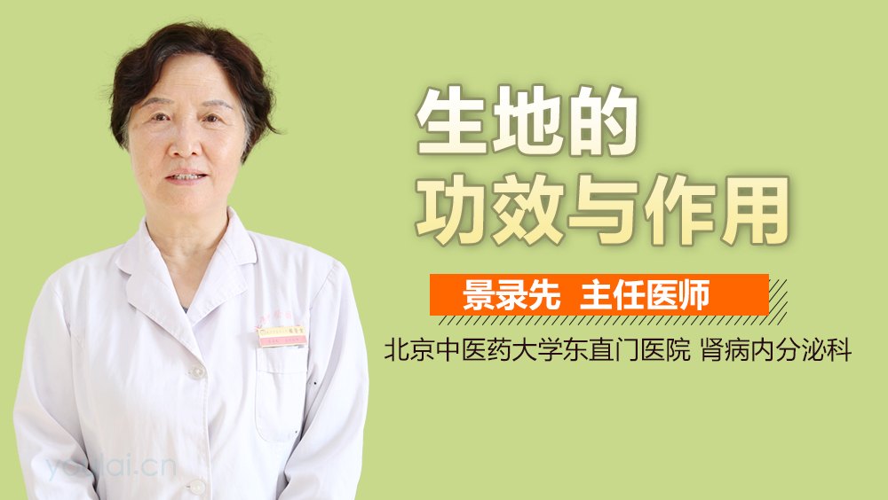 生地的功效与作用盘点,日常保健常备它准没错