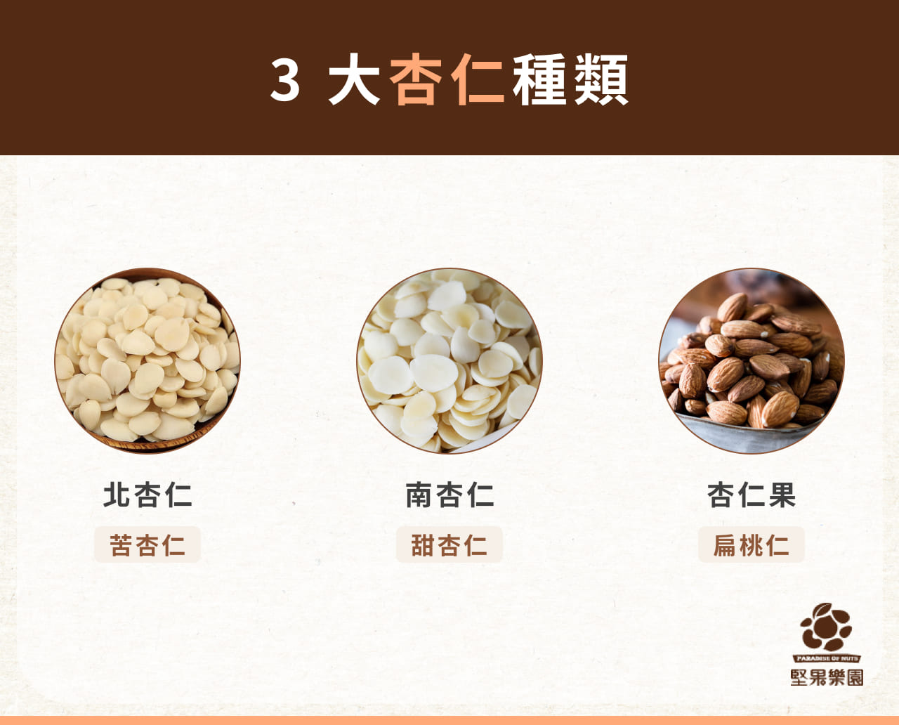 杏仁的功效究竟有哪些?一篇看懂它的神奇之处!